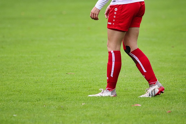 豪强重新崛 豪强重新崛