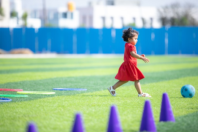 战术多样性 战术多样性