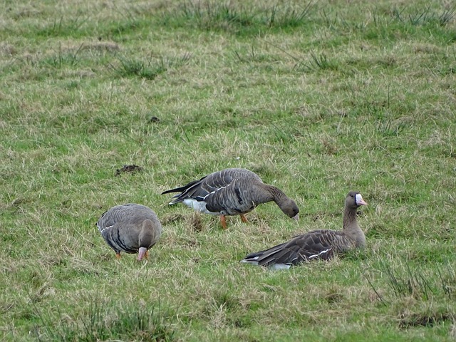 这样的策略 这样的策略