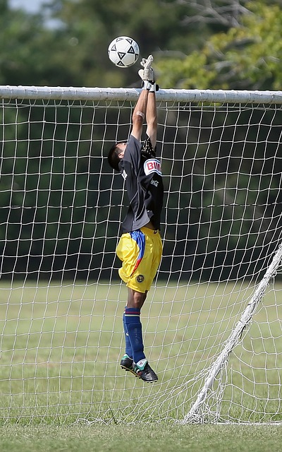 谢苏组合面 谢苏组合面