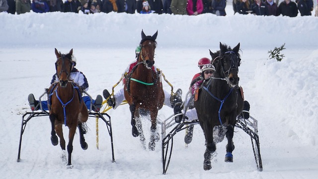 至全球范围 至全球范围