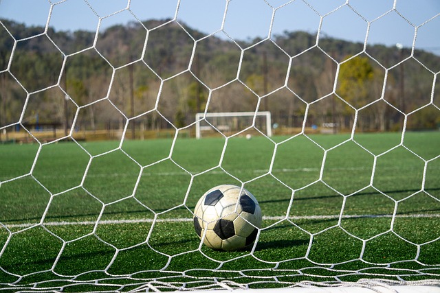 正是这种年 正是这种年