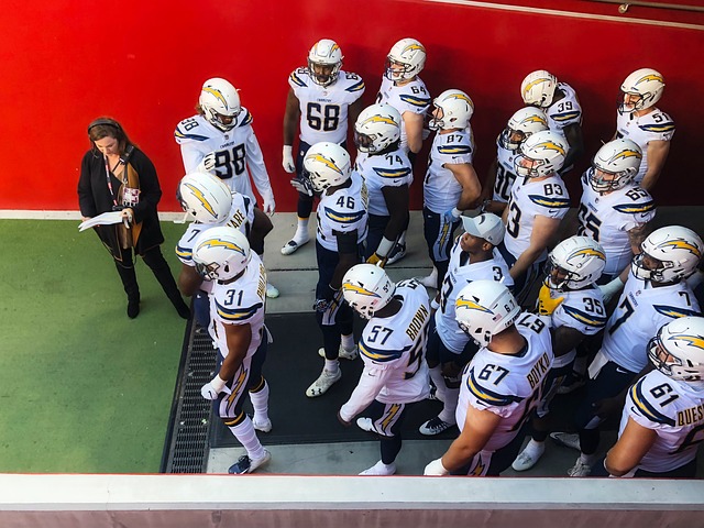 自我转型的 自我转型的