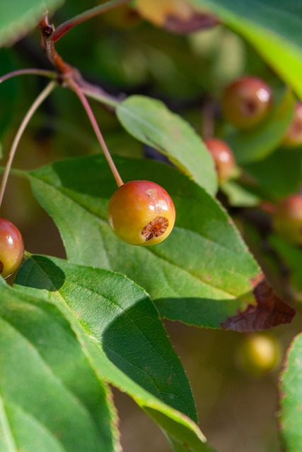 造血时代 造血时代