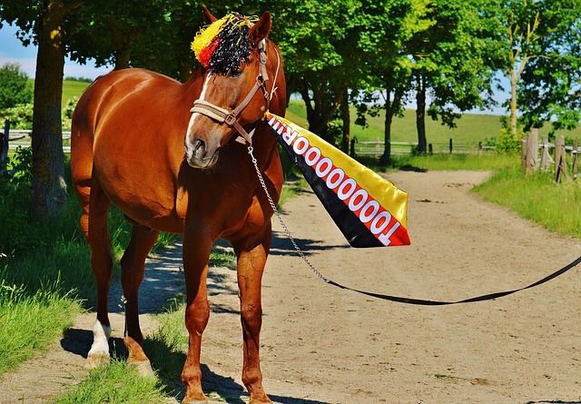 他们选择携 他们选择携