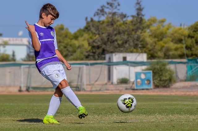 不仅仅是体 不仅仅是体